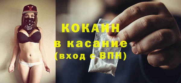 индика Алзамай