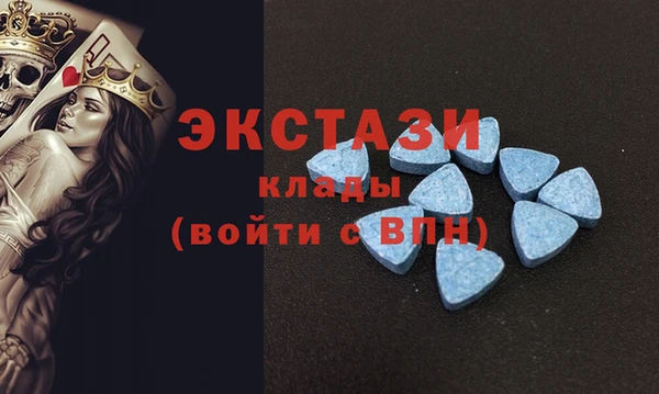 индика Алзамай