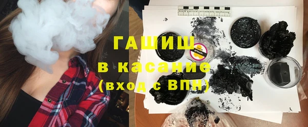 индика Алзамай