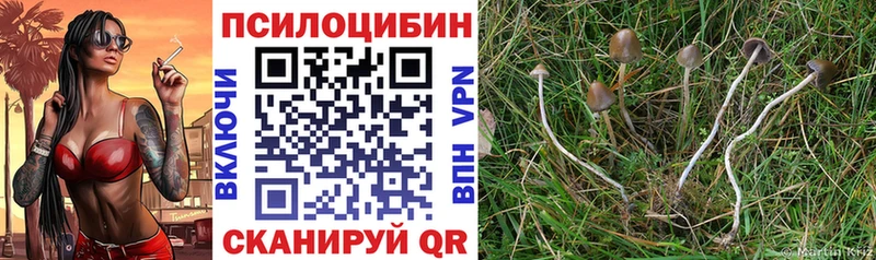 Псилоцибиновые грибы Magic Shrooms  Неман 